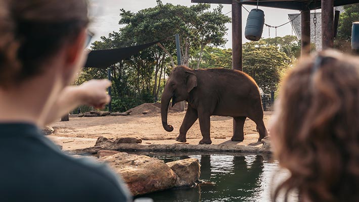 Wander through the zoo past some of our most unique animals